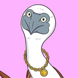 booby