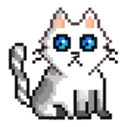 catmouse
