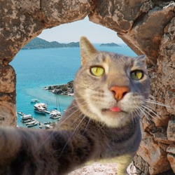 catour