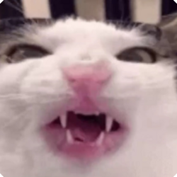 crunch