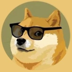 doge2.0