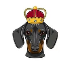 dogeking