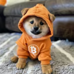 dog•go•to•the•moon
