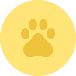 dxct