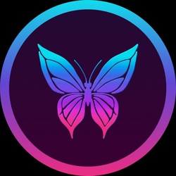 fly