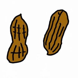nuts
