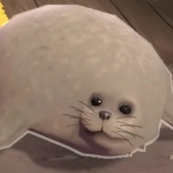 seals