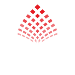 shares