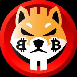 shiba