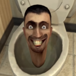 skibidi