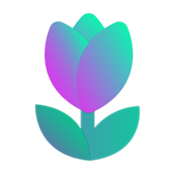 tulip