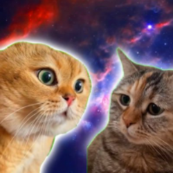 twocat