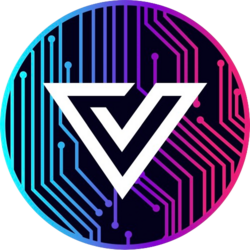 vizion