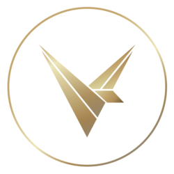 vy