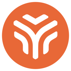 vyusd