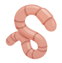worm