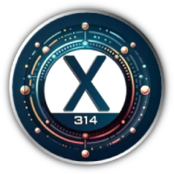 x314