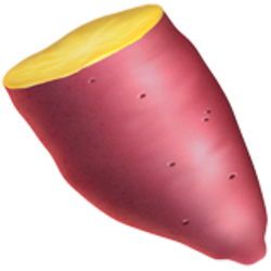 yam