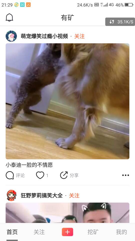 有矿小视频