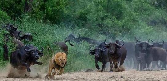 国内“网游工作室”机器数量超2000万台