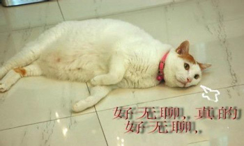 无聊时可以赚钱的软件