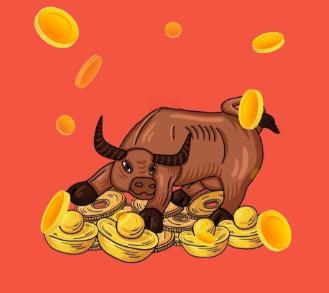 牛来了吗？记我的一次股市投资理财之旅