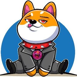 $babydogeinu手机赚钱软件