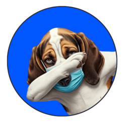 $hound手机赚钱软件