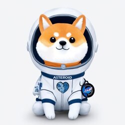 asteroid手机赚钱软件