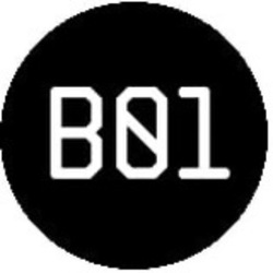 b01手机赚钱软件