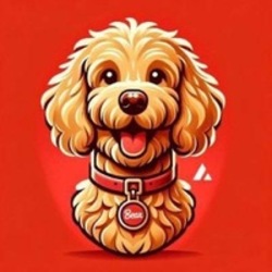 bear手机赚钱软件