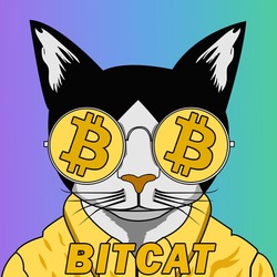 bitcat手机赚钱软件