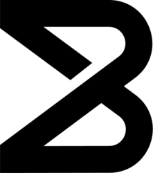 bnry手机赚钱软件