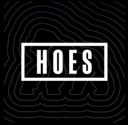 hoes手机赚钱软件