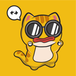 kitten