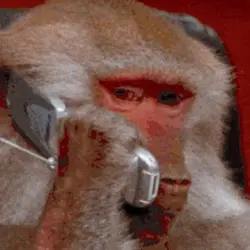 monkephone