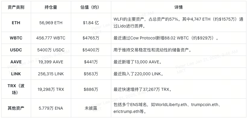 world-liberty-financial-holdings-table-cn
