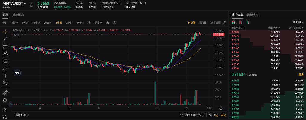 mnt-usdt-spot-trading-pair-on-xt-com-cn