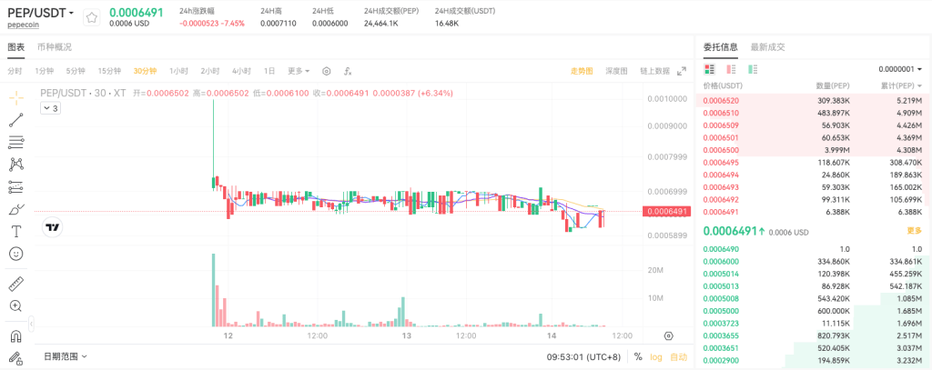 pepe-usdt-spot-trading-pair-on-xt-com-cn