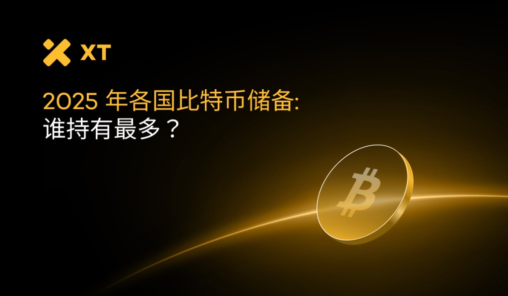 2025年各国比特币储备：谁持有最多？