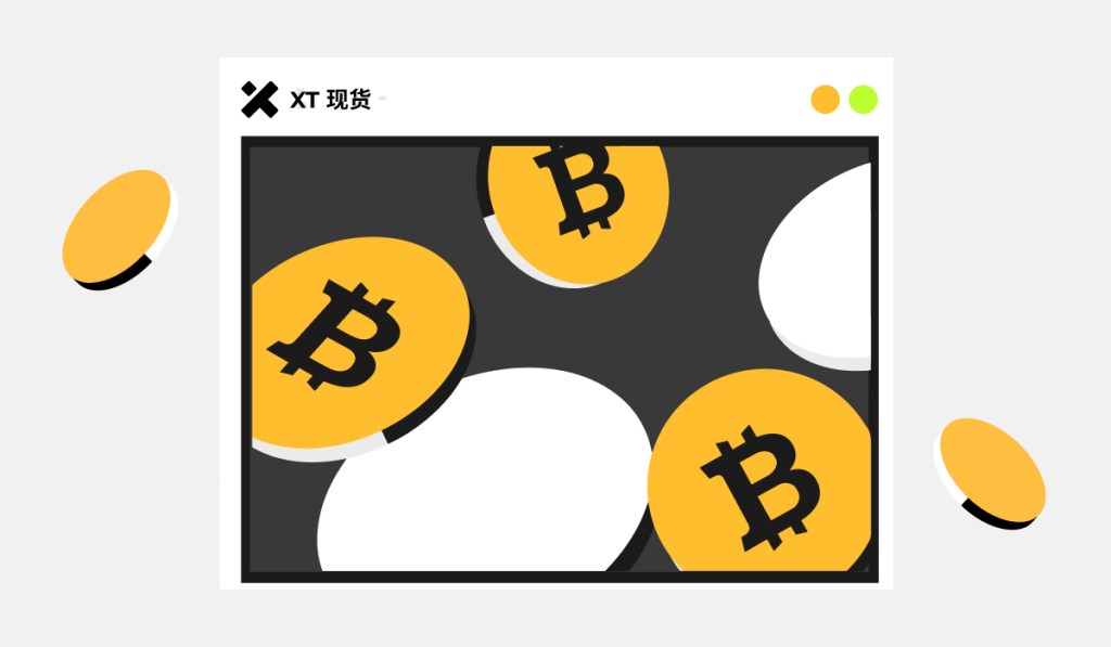 why-traders-choose-xt-for-spot-trading-cover-cn