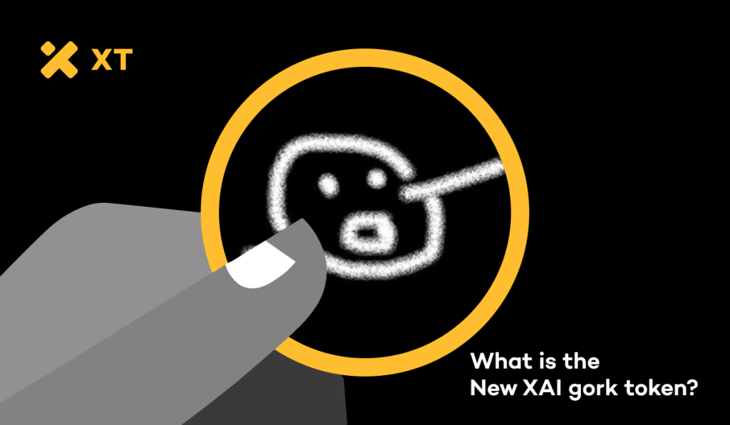 what-is-the-new-xai-gork-token-cover-zh-CN