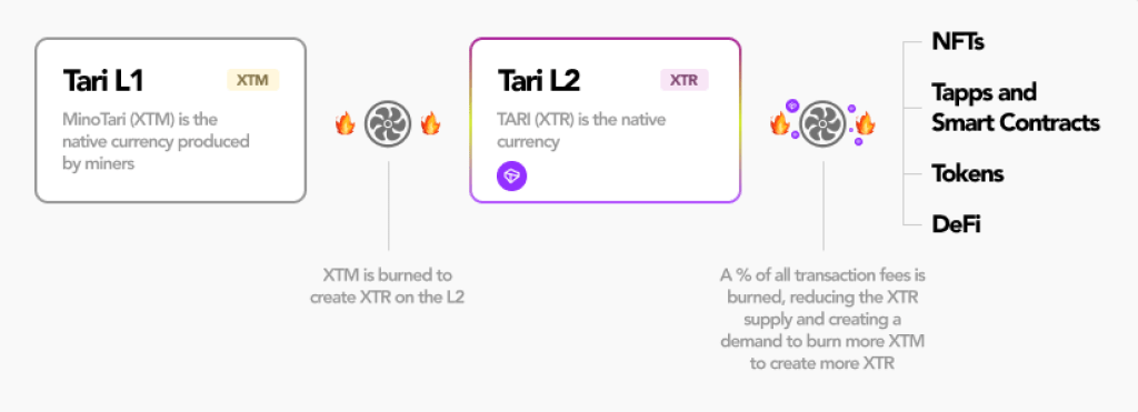 how-tari-token-xtr-works