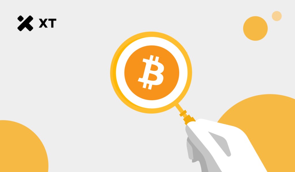 bitcoin-series-cover