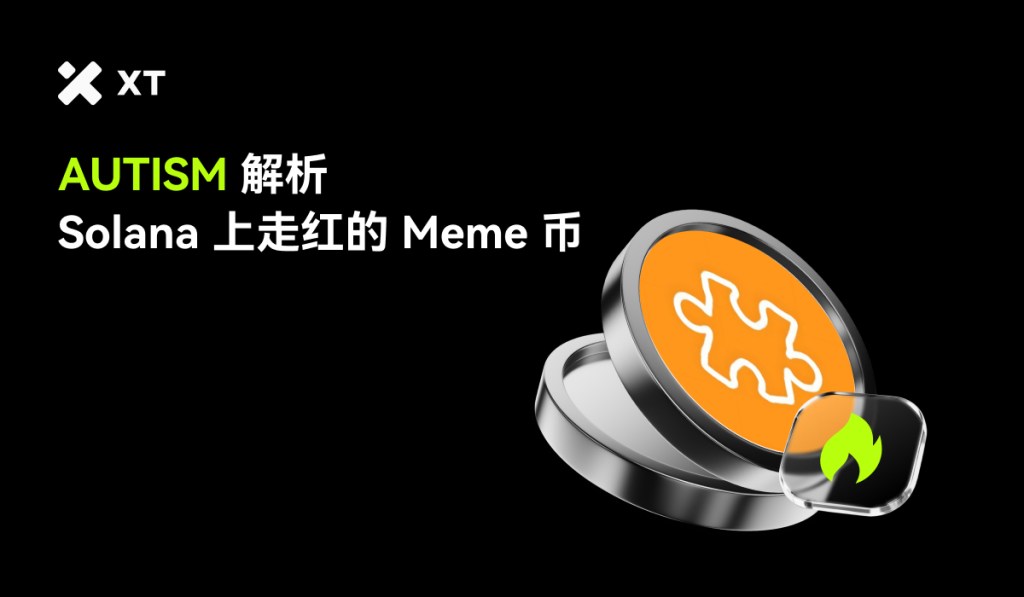 austims-coin-explained-cover-cn