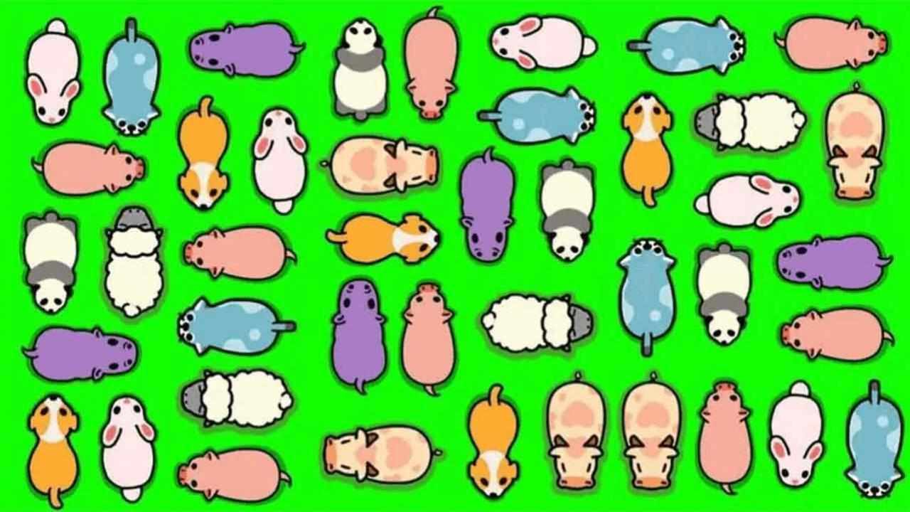 解救小猪消消消乐手机赚钱软件截图2
