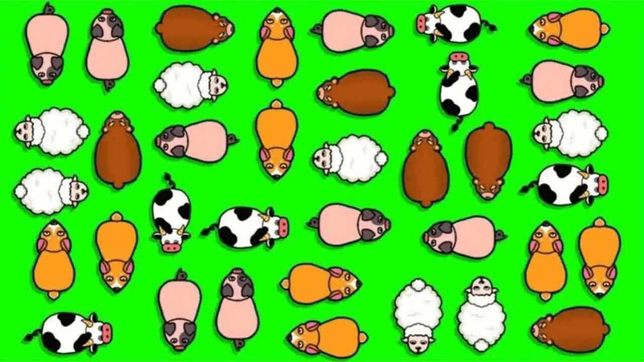 解救小猪消消消乐手机赚钱软件截图3