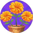 筑梦空间正版手机赚钱软件