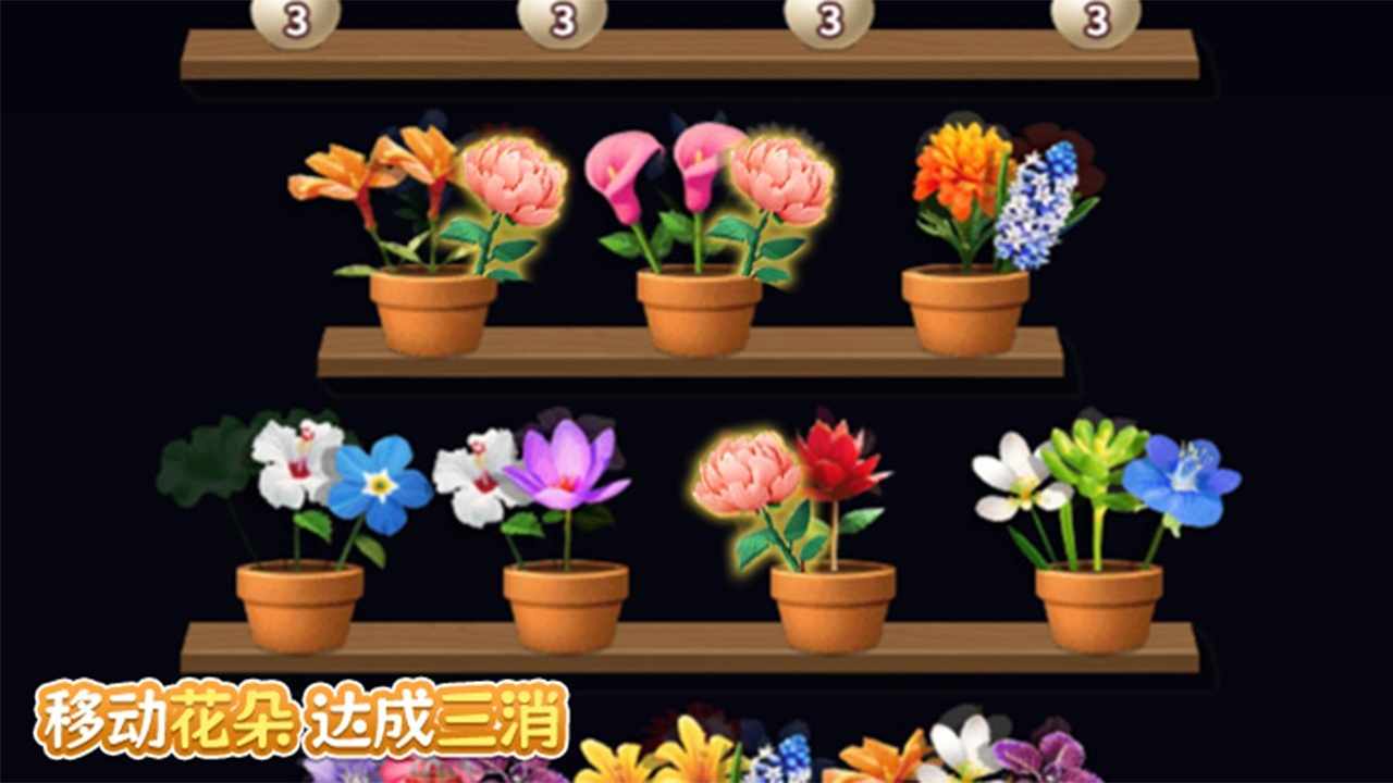筑梦空间正版手机赚钱软件截图3