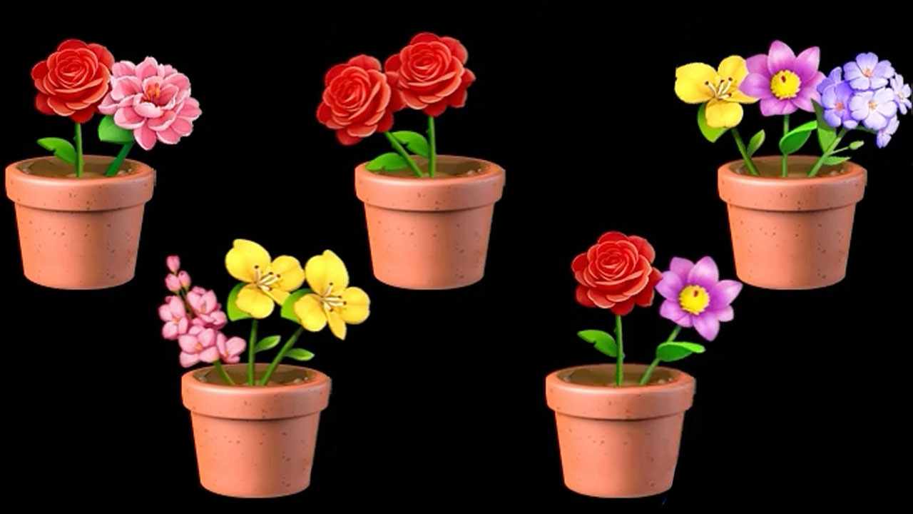 花儿趣消消手机赚钱软件截图3